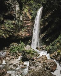 Scenic view of waterfall in forest