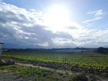 Scenic view of field against cloudy sky