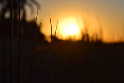 Scenic view of sunset