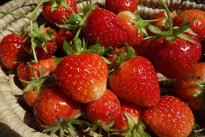 Full frame of strawberries