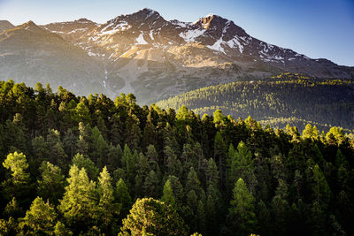 Scenic view of trees and mountains against sky