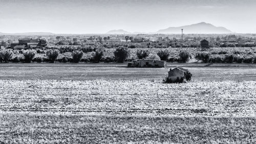 View of a field against the sky