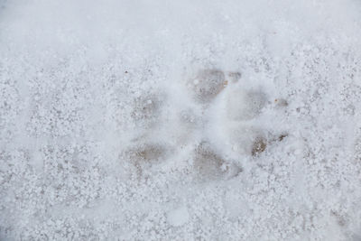 Full frame shot of snow on sea