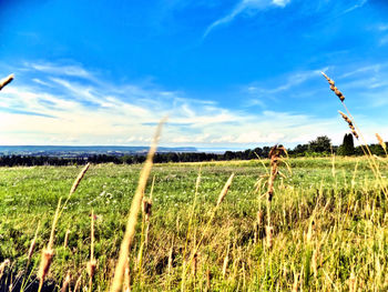 Scenic view of field against cloudy sky