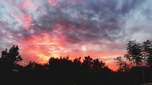 Silhouette trees against sky at sunset