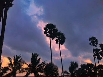 Low angle view of silhouette palm trees against sky