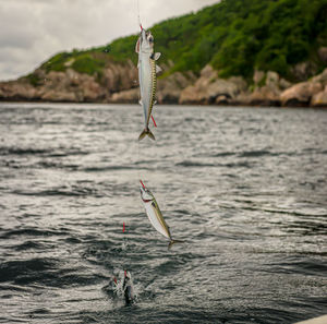 Man fishing in sea