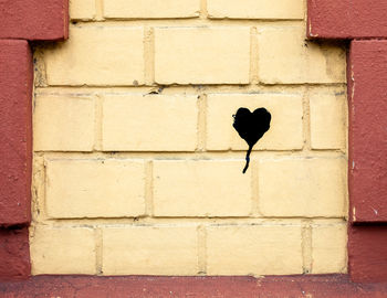 Black bird perching on wall