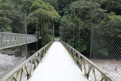 Footbridge amidst trees in forest