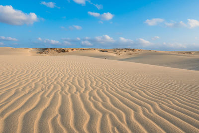 Sand at beach against sky