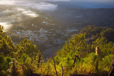 Scenic view of tree mountains against sky