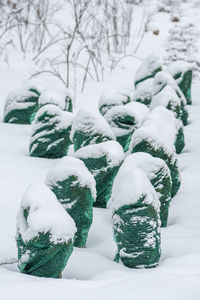 snow