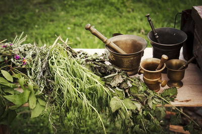 Close up of grass and bowls