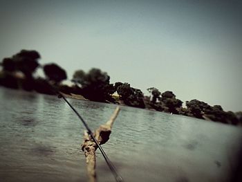 Close-up of crab on lake against clear sky