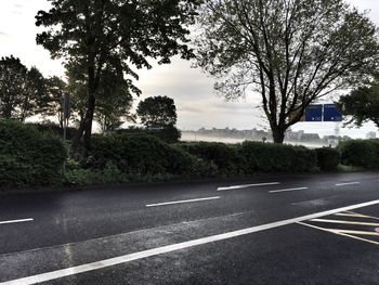 Empty road along trees