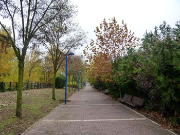 Footpath amidst trees against sky during autumn