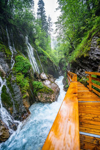Scenic view of waterfall in forest