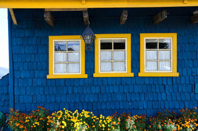 Yellow flowers on window of building