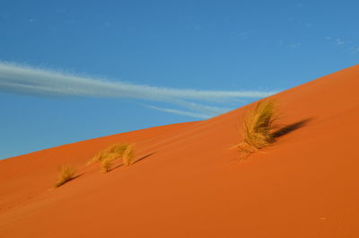 Low angle view of desert against blue sky