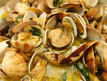 Full frame shot of clams