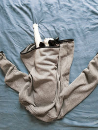 High angle view of cat sleeping in top on bed