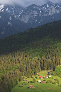 Scenic view of landscape and mountains