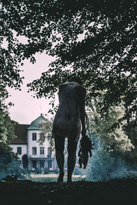 Horse standing by tree against sky