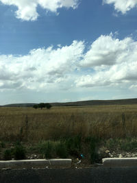 Scenic view of field against sky