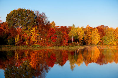 Scenic view of lake in forest during autumn