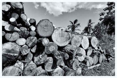 Stack of logs against sky