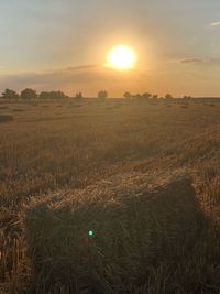 Scenic view of field against sky during sunset