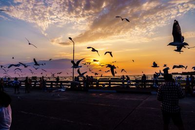 Silhouette birds flying over sea against sky during sunset