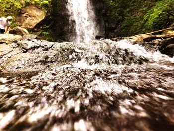 Scenic view of waterfall in forest