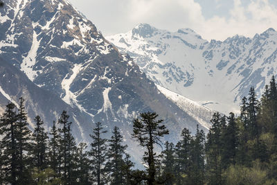 Alpine landscape with snowy mountains and pine tree covered hillside