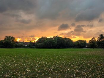 Scenic view of grassy field against cloudy sky during sunset