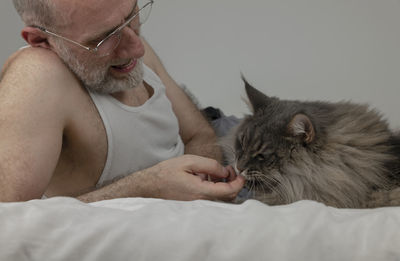 Silver blue maine coon cat and his owner playing on bed