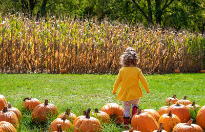 Rear view of girl standing by pumpkins on field