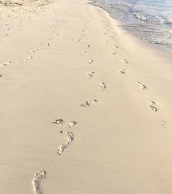 High angle view of footprints on sand at beach