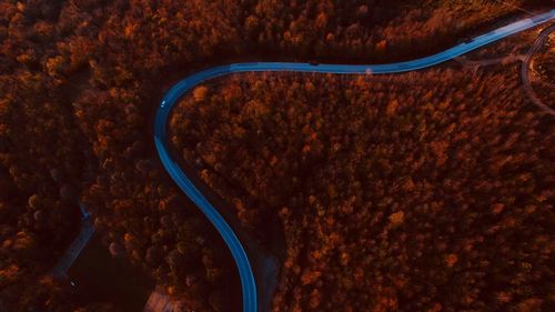 Aerial view of winding road amidst trees