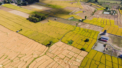 High angle view of agricultural field