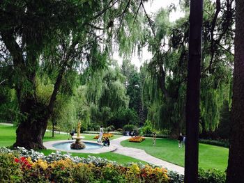 View of swimming pool against trees