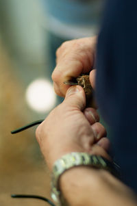 Close-up of cropped hand holding plant