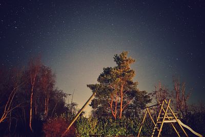 Low angle view of trees against clear sky at night