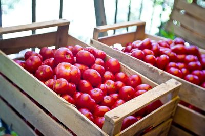 Fresh apples in crate in box