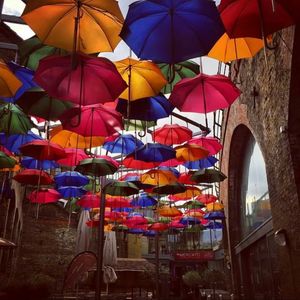 Multi colored umbrellas hanging in row