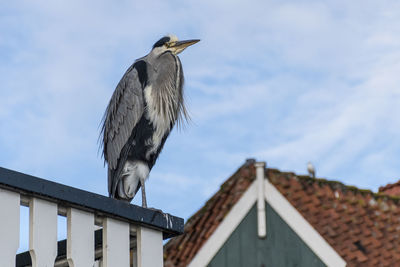 Low angle view of bird perching on roof against building