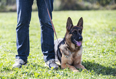 Low section of person with dog on field