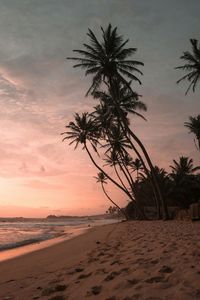 Scenic view of beach against sky during sunset