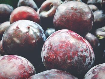 Close-up of plums at market for sale