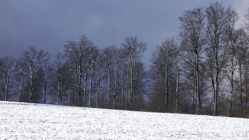 Bare trees on snow covered landscape against sky